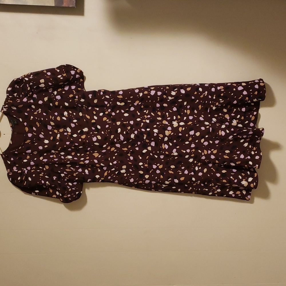 Ann Taylor Swirly Spot Flounce Sheath Dress